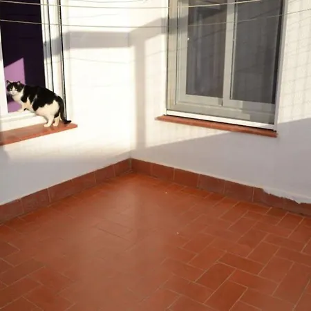 In - 103555 By Mo Appartement *